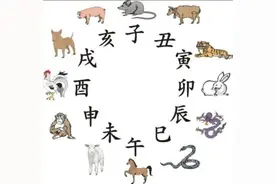弥补你的知识盲区：子鼠、丑牛、寅虎、卯兔……到底是嘛意思？图片