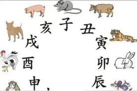 弥补你的知识盲区：子鼠、丑牛、寅虎、卯兔……到底是嘛意思？图片