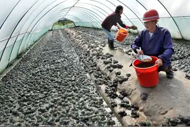 2022农村必火的6个创业项目，看看是不是适合你图片