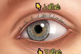 眼皮痒，还会起皮屑，经常想去挠，怎么办？图片