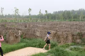 这个一亩半地的小农庄，靠什么，年产值19万元？图片