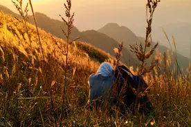人类性心理发展规律：性生活更和谐的夫妻往往更幸福图片