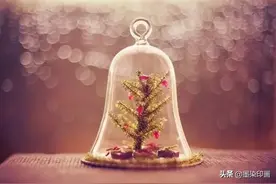 唯美、迷人的焦外散景，如何拍？4招教你打造美丽光斑图片