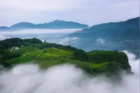 苏马荡——老虎喝水的地方图片