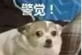 突发！3岁女童被风筝卷上天，现场尖叫连连…图片