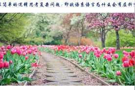 用最简单的逻辑思考复杂问题：印欧语系语言为什么会有屈折变化？图片