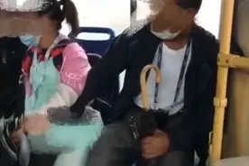 小女孩乘公交遭猥亵！警方通报图片