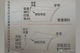 它是垂钓青鱼的“杀手锏”，详细解读搏大物利器——无铅自立钓法图片