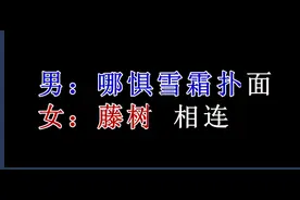 铁血丹心-卡拉OK歌词-逐字变色图片