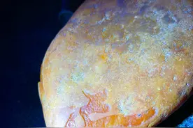 大马坎水石，极品红翡，肉质细腻，种水化开图片