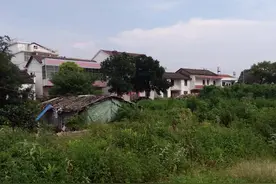 我已经好多年没走亲戚了，我的舅舅姨妈叔叔姑姑，你们在何方？图片