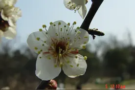 慢慢走，品味杭州之美图片