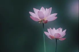 山水一程，往事千年，倾一世温柔，暖一场相逢图片