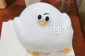 斗图必胜小白鸡表情包图片