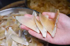 为什么人类不吃鲨鱼肉，但却把鱼翅奉为上品？图片