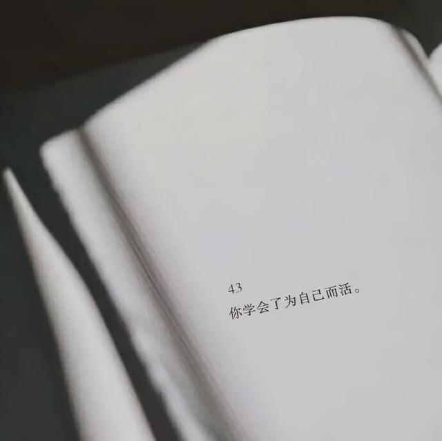 最新背景图 情感图