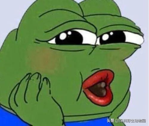 “高质量”求爱大作战，果然画风清奇