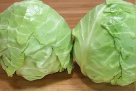 包菜最好吃做法，下酒下饭，比吃肉解馋，一顿1颗不够吃图片