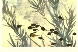 豆瓣8.8《小蝌蚪找妈妈》：只要坚持不懈，目标总会达成图片