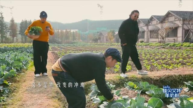 豆瓣9.3了，这顶级国综怎么还不火