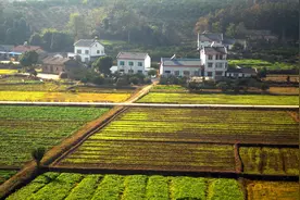 2021年农村宅基地确权登记步入扫尾阶段，你家确上权了吗？图片