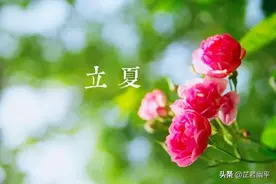 立夏 | 春红散尽，绿意盈然图片