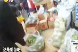 严查！警方菜市场查处“罂粟苗”，摊贩称：我卖的都是野菜视频封面