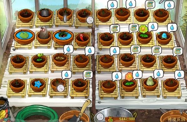 植物大战僵尸活死人版