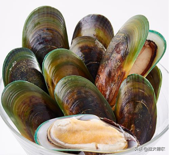 15种常见的贝壳类海鲜，你见过几种？绝大多数人只见过2~3种