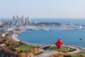 青岛一次诚恳的自我揭短图片