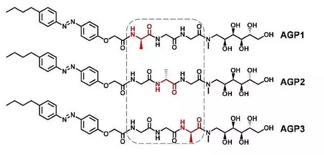 Chem. Sci.:氨基酸挪个位置,糖肽自组装变个形式