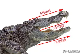 最全均线攻略之进攻战法篇图片