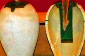 伊拉克挖出破罐子，引全球关注，西方专家：中国历史或将被改写图片