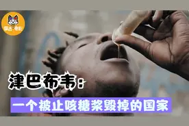 非洲小国津巴布韦：一个被止咳糖浆给毁了的国家！纪录片图片