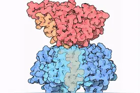 盘点关于氰化物的九个“有趣的”事实图片