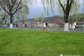 我们从未如此热爱生活——我喜欢人间的烟火气图片