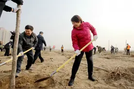 西青区领导带头植树 为生态西青增植添绿图片