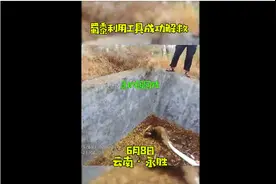 "小怪兽"掉入枯水池，上演"爱的魔力转圈圈"图片
