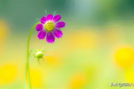 男人为你着迷，相处时会流露出四种“怕”图片