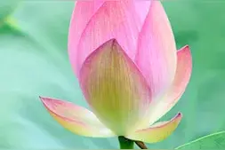 身份证有这些字的十堰人恭喜了，免费图片