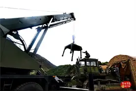 “不起眼”的修理兵，走进“铁甲神医”的日常生活图片