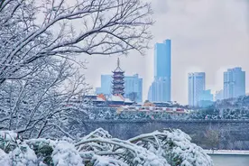 赏雪景 享美食 荔星传媒“星美食”自媒体创作交流沙龙圆满收官图片