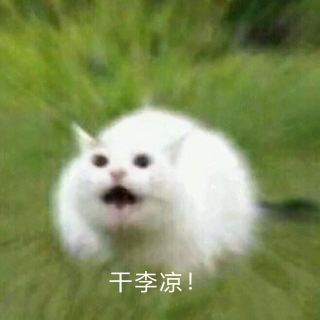 Win10 更新，国内大量网站遭殃，网友却说：干得好