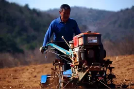 专家呼吁：取消农村养老金，改为城市退休金！农民：终于等到你图片