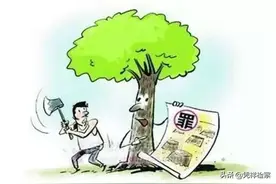 以案说法|男子砍完自家林木又盗伐被判刑图片