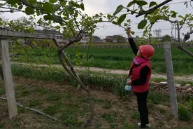 肥料业务员离职后，通过新产品吸引了原客户合作，厂家肠子悔青了图片