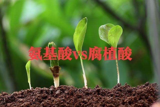 种植户注意，氨基酸肥不等于腐植酸肥，二者差距不小，不要弄混
