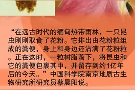 远古发现丨这两坨1亿年前的便便，谁留下的？图片