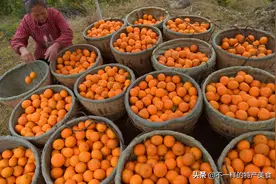 别说湖北只有热干面，这几样特产美食照样人人爱，看得我直流口水图片