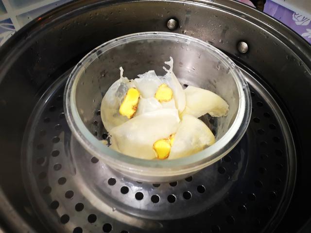 刚出来生花胶是怎样 2025年花胶怎么生长的